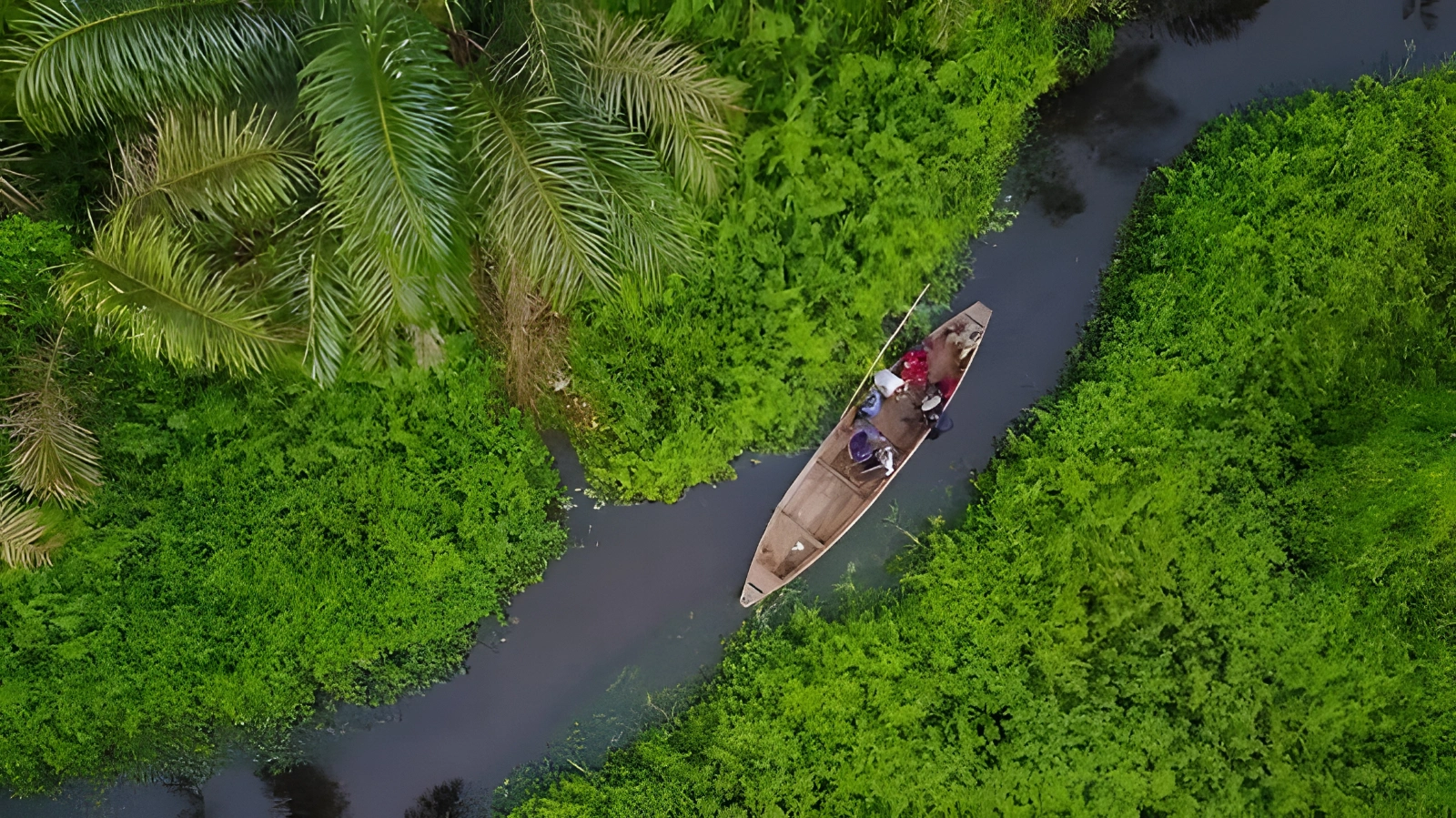 Pirogue traversant un chenal de verdure au Bénin
